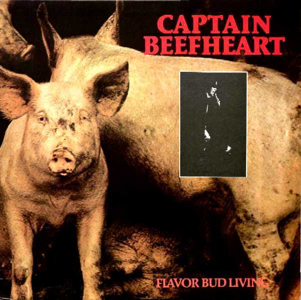 captain beefheart - bootleg
              2elpee 'flavor bud living' - live performance paradiso,
              amsterdam, holland 1 november 1980